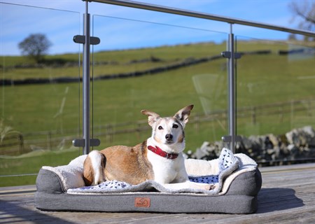 Dog friendly romantic countryside escapes